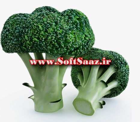 مجموعه مدل سه بعدی سبزیجات