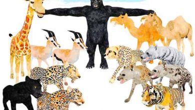 مدل حیوانات آفریقایی