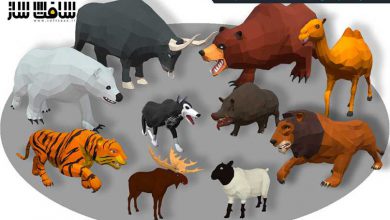 دانلود مجموعه مدل سه بعدی حیوانات آفریقای 02 انیمیت شده