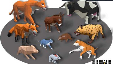 دانلود مجموعه مدل سه بعدی حیوانات آفریقای 03 انیمیت شده