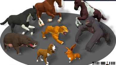 دانلود مجموعه مدل سه بعدی حیوانات آفریقای 04 انیمیت شده