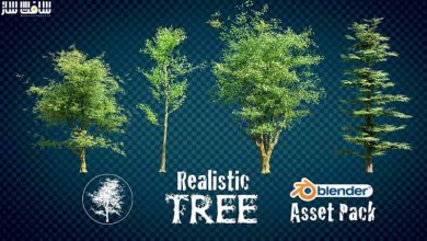 دانلود پکیج Realistic Tree Asset Pack برای بلندر