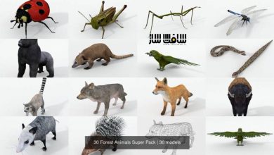 دانلود پکیج مدل سه بعدی 30 نوع حیوانات جنگلی