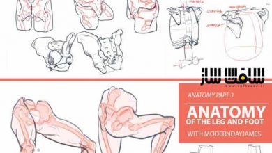 آموزش آناتومی بدن