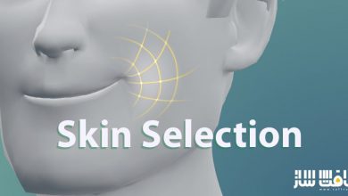 دانلود پلاگین Skin Selection برای بلندر