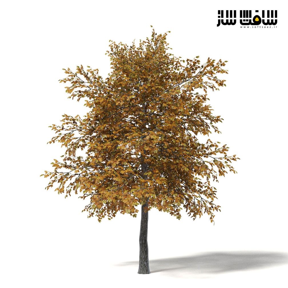 دانلود سی جی اکسیس شماره 115 CGAxis - درختان پاییزی