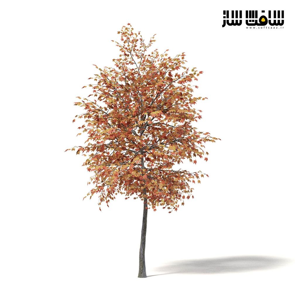 دانلود سی جی اکسیس شماره 115 CGAxis - درختان پاییزی