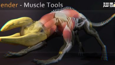 دانلود پلاگین Blender Muscle Tools برای Blender