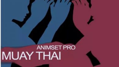 دانلود پروژه Muay Thai Animset Pro برای یونیتی