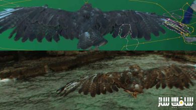 آموزش کامپوزیشن پرواز عقاب در After Effects