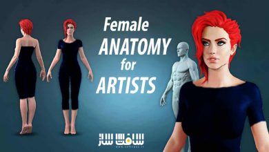 آموزش آناتومی زنان برای هنرمندان در Zbrush از Nikolay Naydenov
