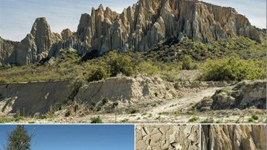 دانلود مجموعه تصاویر رفرنس از صخره های خشتی