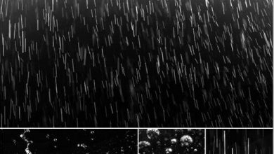 دانلود مجموعه تصاویر رفرنس از ذرات باران