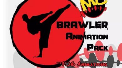 دانلود پروژه Brawler Animation Pack برای یونیتی
