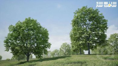 دانلود پکیج درختان افرا برای آنریل انجین