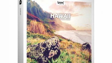 دانلود پکیج افکت صوتی هاوایی