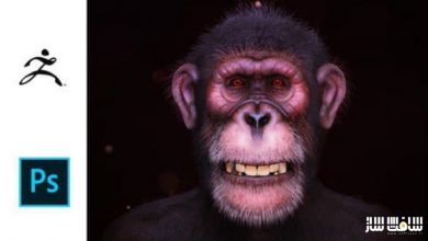 آموزش ایجاد یک شامپانزه واقعی در Zbrush 2020