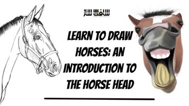 آموزش طراحی و نقاشی سر اسب از Wacha Michael