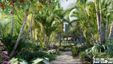 دانلود مدل سه بعدی گیاهان خانه و باغ برزیلی