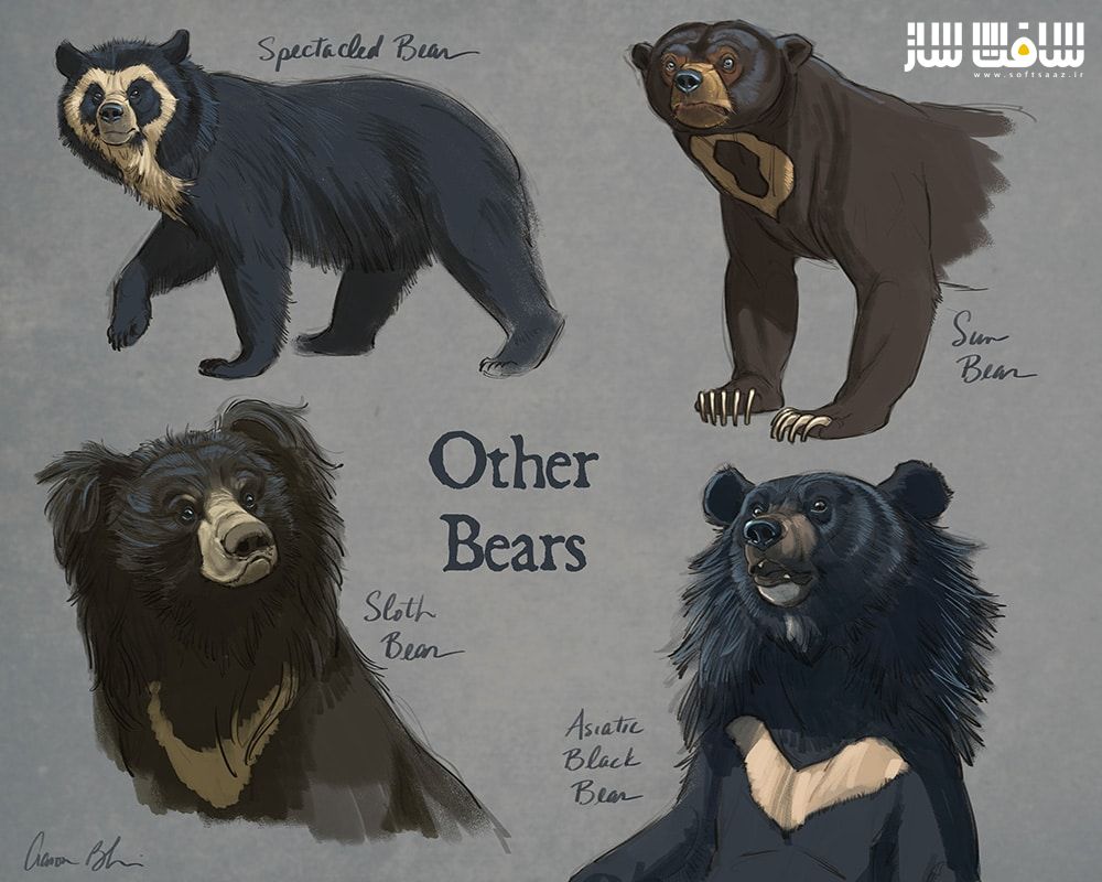 آموزش نحوه طراحی و ترسیم خرس ها از Aaron Blaise