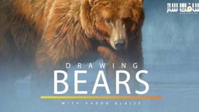 آموزش نحوه طراحی و ترسیم خرس ها از Aaron Blaise