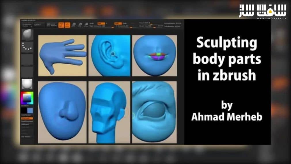 آموزش حجاری اعضای بدن در Zbrush برای انیمیشن