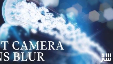 دانلود پلاگین Fast Camera Lens Blur v5.1.0a برای افترافکت