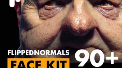 دانلود کیت صورت Face Kit از Flipped Normals