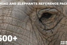 دانلود 500 تصویر رفرنس کرگدن و فیل از Theo Baudoin