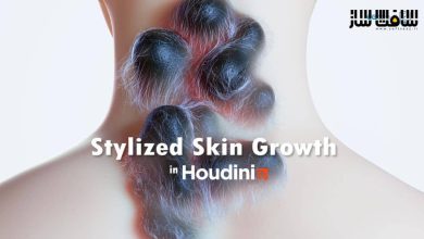 آموزش ایجاد افکت رشد پوست با سبک خاص در Houdini