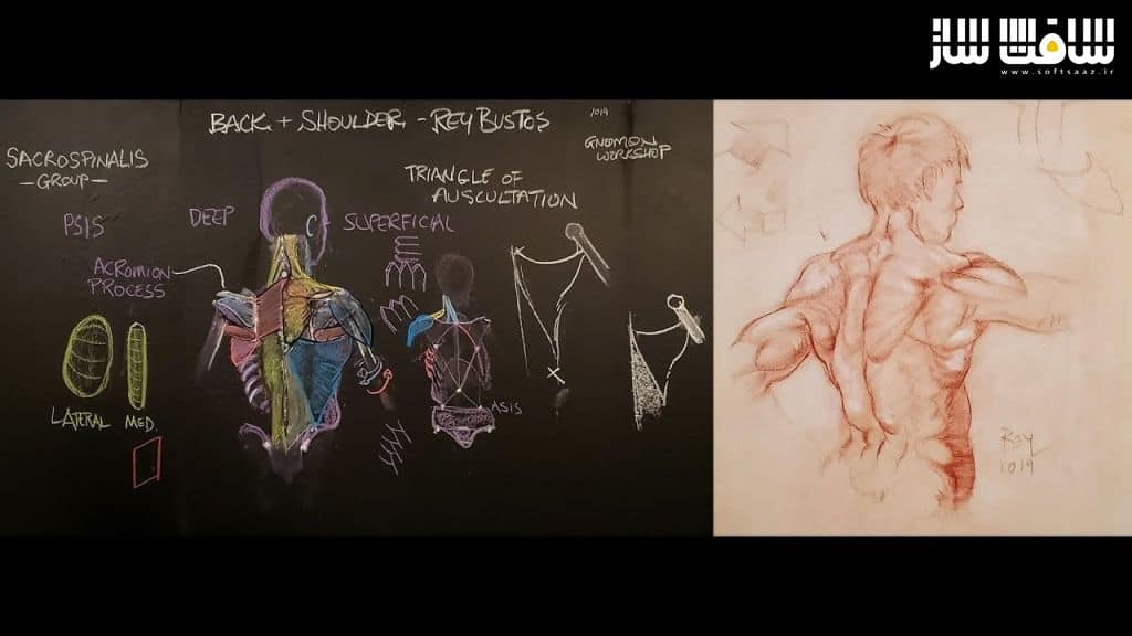 آناتومی برای هنرمندان از Rey Bustos شماره 1