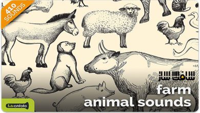 دانلود پکیج افکت صوتی صداهای حیوانات مزرعه