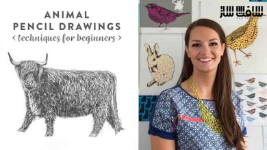 نقاشی با مداد برای طراحی حیوانات : تکنیک هایی برای مبتدیانی
