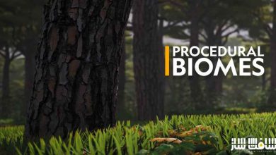 دانلود پروژه Procedural Biomes برای آنریل انجین