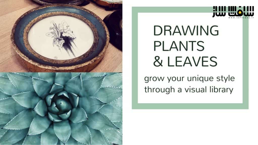 آموزش طراحی گیاهان و برگ ها : پرورش سبک منحصر به فرد خود با کتابخانه بصری