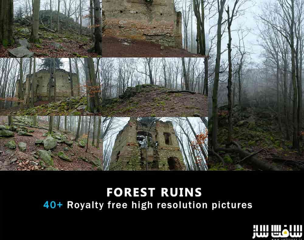 دانلود تصاویر رفرنس خرابه های جنگل 