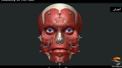 آموزش ساخت آناتومی صورت در نرم افزار Zbrush