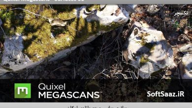 تکسچر های نرم افزار Quixel Megascans