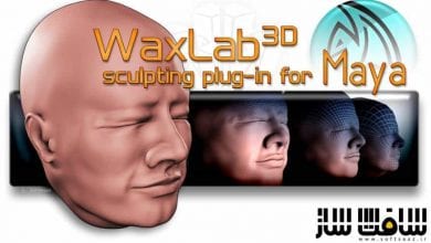 دانلود پلاگین Sigrasoft WaxLab3D