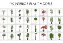 مدلهای سه بعدی گل و گیاه خانگی