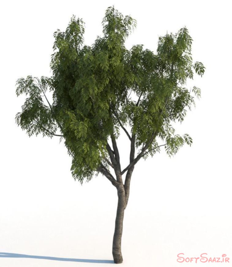 مدلهای درختان تابستانی iTrees vol.2